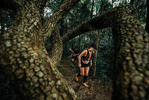 BIB: 
                            <button type="button" onclick="openModal(25669253)" class="btn btn-primary btn-sm float-right btn-popup" data-toggle="modal" data-target=".modal-high-quality">
                        <i class="fas fa-shopping-cart"></i> Add to Cart
                    </button>
                                            <button type="button" onclick="isThisMe(25669253, true)" class="btn btn-success btn-sm float-right btn-popup btn-isme hidden" data-toggle="tooltip" data-placement="bottom" title="นี่คือรูปของคุณใช่ไหม คลิกที่นี่เพื่อเอาเข้าอัลบั้ม">
                        <i class="fas fa-plus"></i> Add to album
                    </button>
                    <button type="button" onclick="isThisMe(25669253, false)" class="btn btn-warning btn-sm float-right btn-popup btn-isnotme hidden">
                        <i class="fas fa-ban"></i> Remove from album
                    </button>